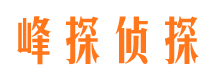 民和市婚外情取证